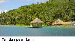 Tahitian pearl farm