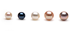 Pearl-Guide.com