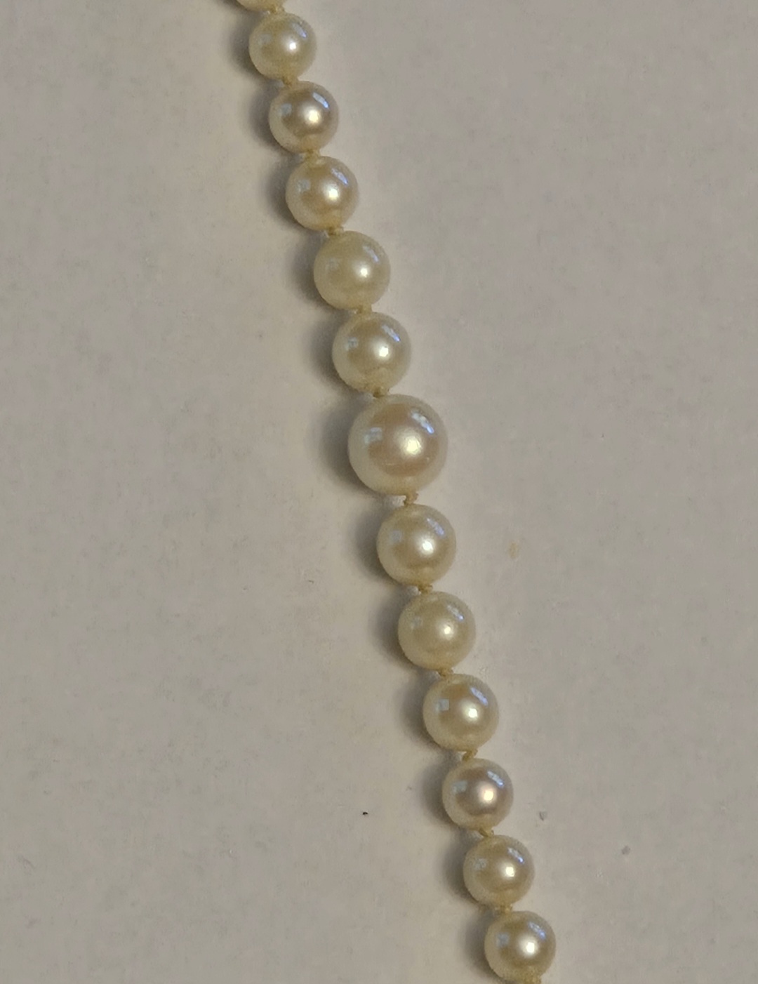 1000018306.jpg