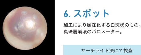 1000066344.png