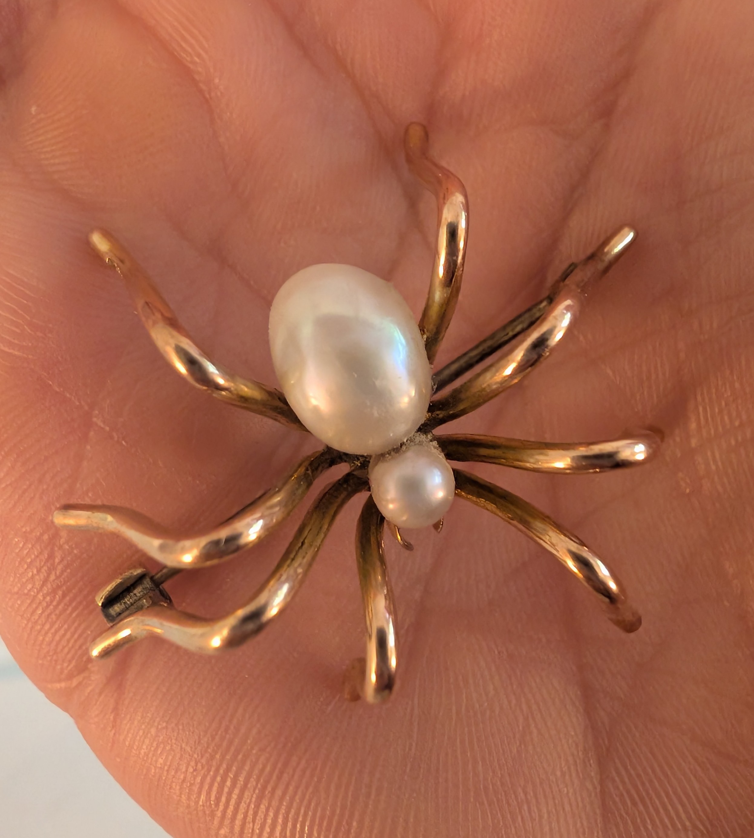 1000068536-jpg.478732