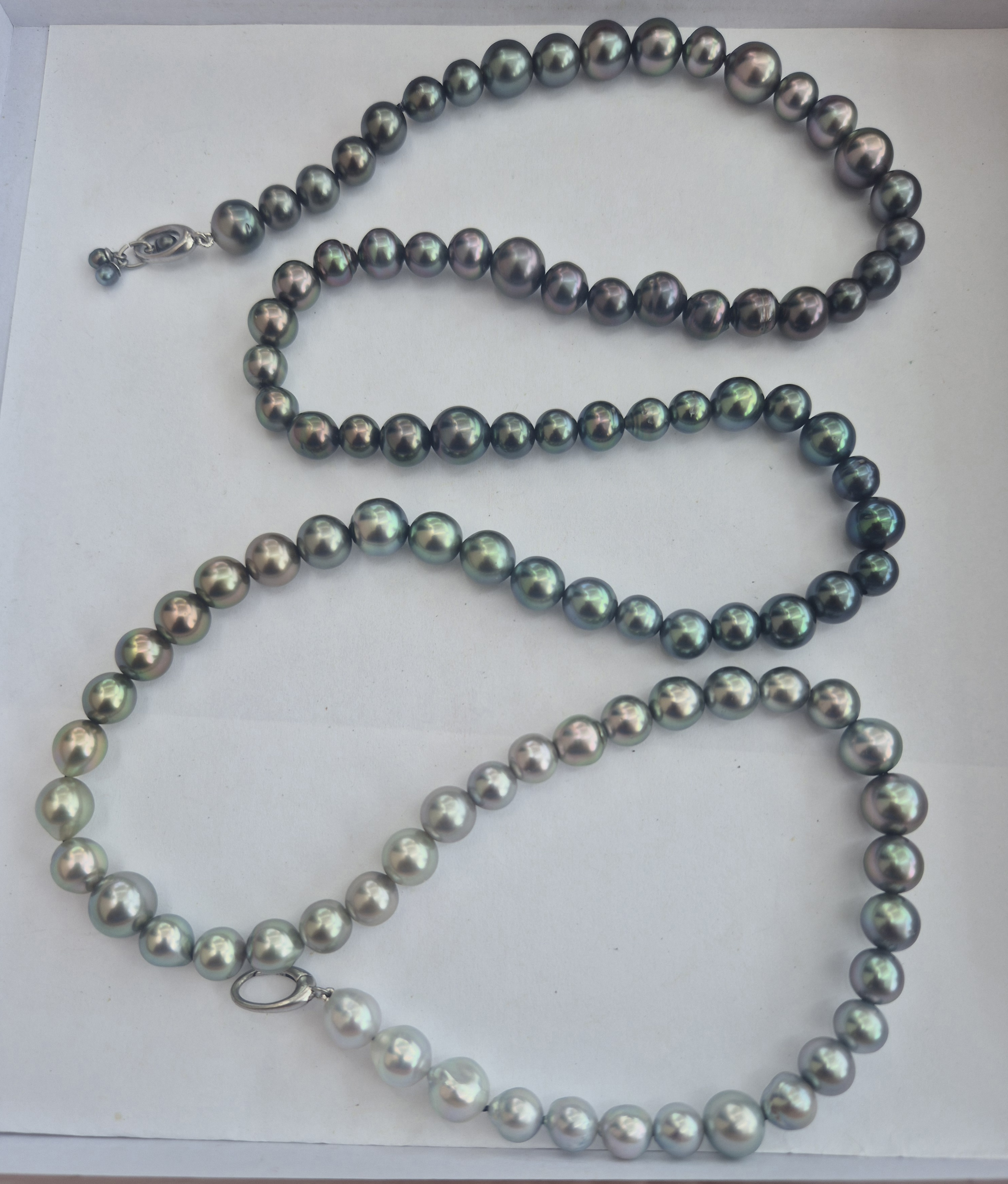 1000255822-jpg.479762