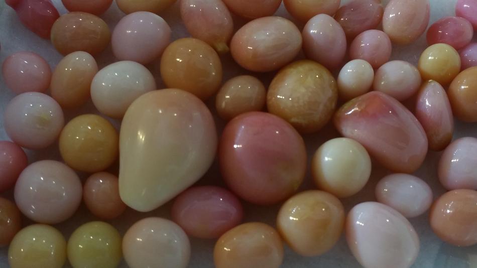 Various colored conch pearls