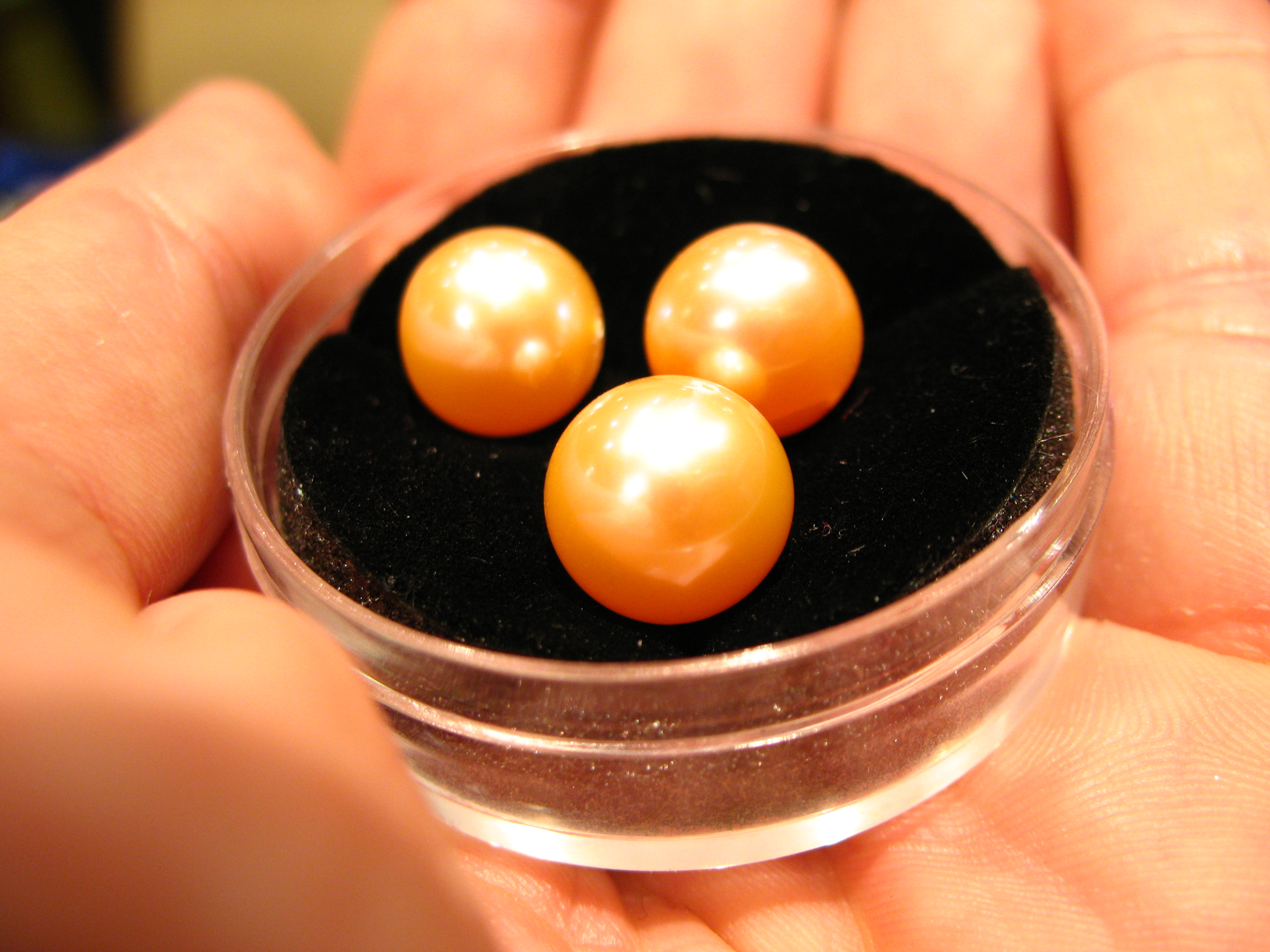 3 Melo Conch Pearls (1).JPG