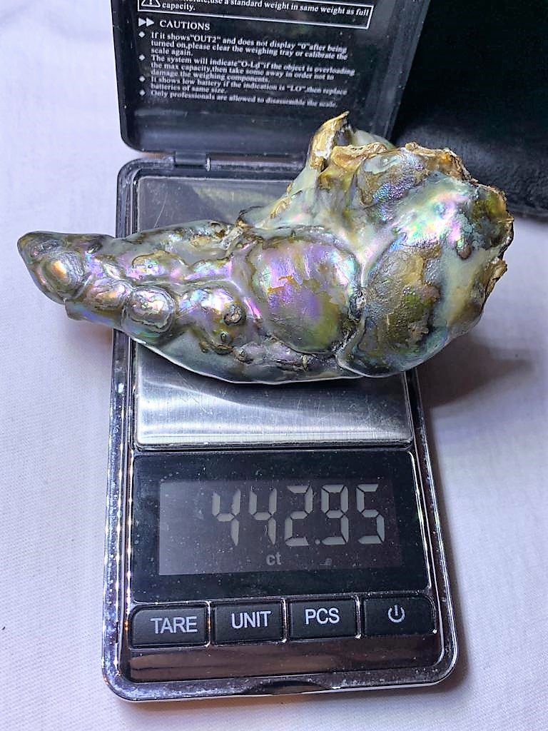 Abalone Pearl 443 carats.jpeg