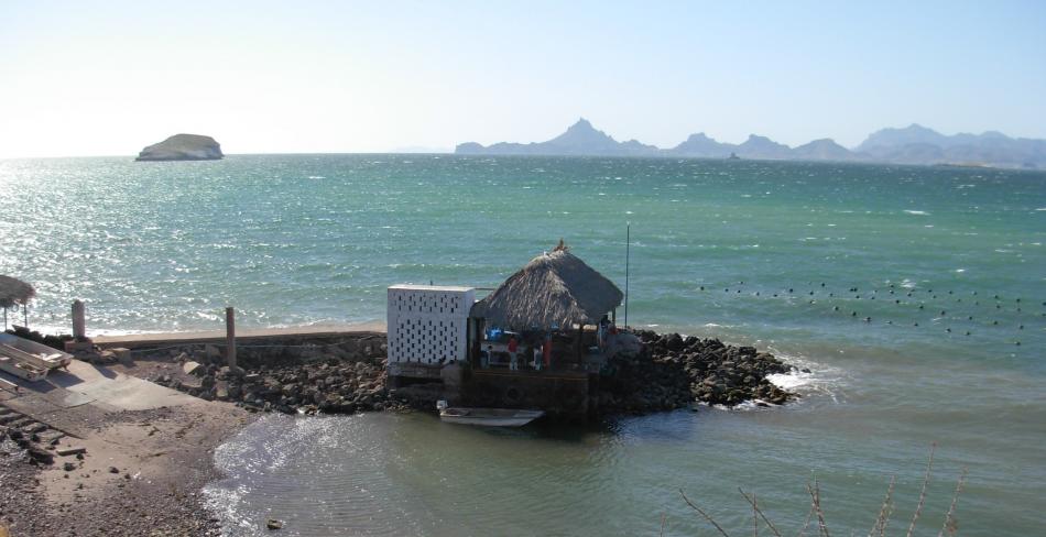 bacochibampo bay - home to Sea of Cortez Pearls