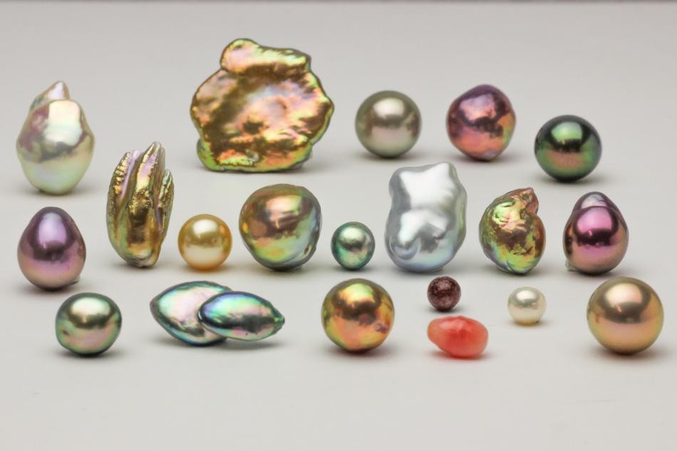 A large Variety Pearl Varieties and Shapes. Photo Courtesy of Kojima Co - A large Variety Pearl Varieties and Shapes. Photo Courtesy of Kojima Co