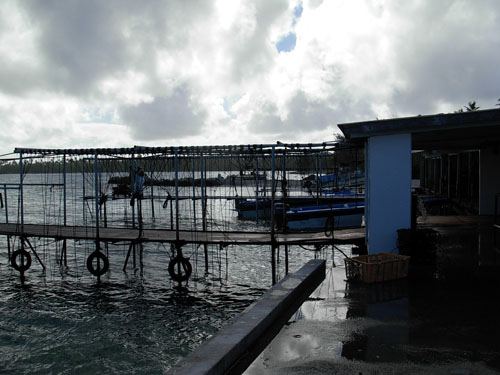 cloudy dock.JPG