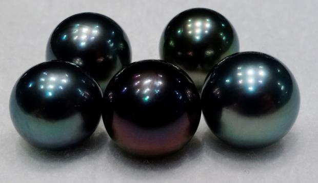 crazy cherry red Tahitian pearl - pearl paradise