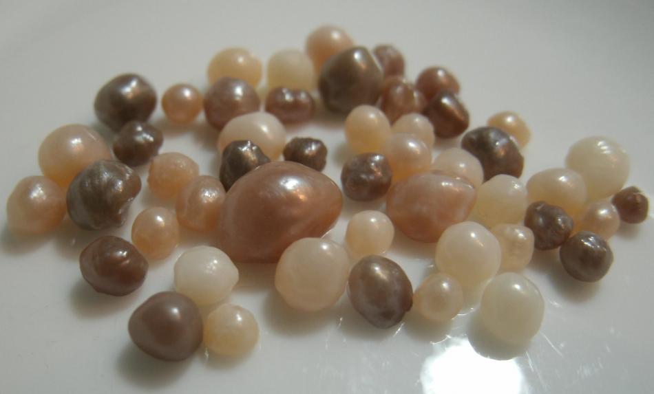 Lagoon Island Pearls: Natural pearls from California Mussel