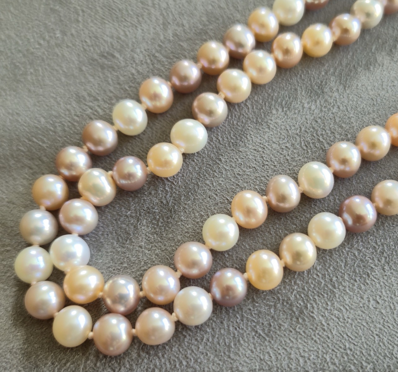 Freshwater detail.jpeg