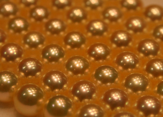 Golden Akoya Pearls from Pearl Paradise