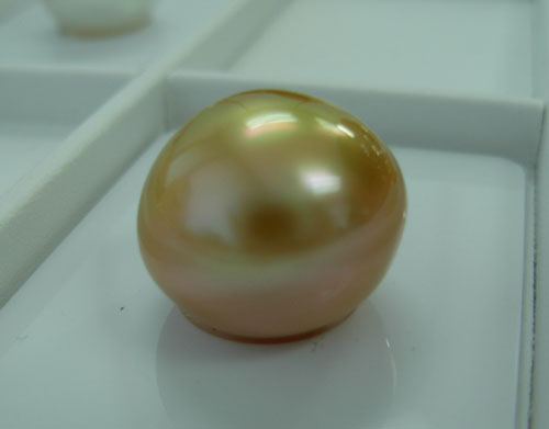 A large gold south sea pearl at Paspaley