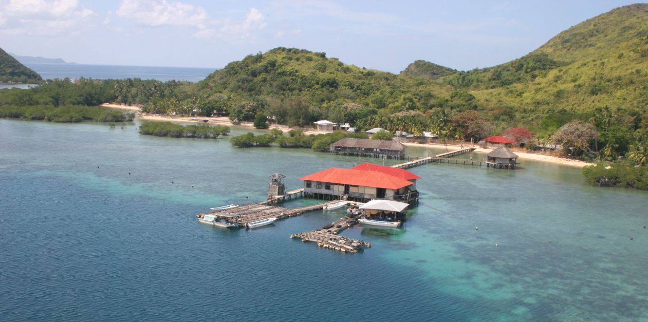 Golden South Sea Pearl Farm in the Philippines.jpg