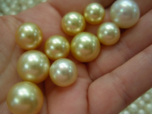 Paspaley even produces some golden South Sea pearls