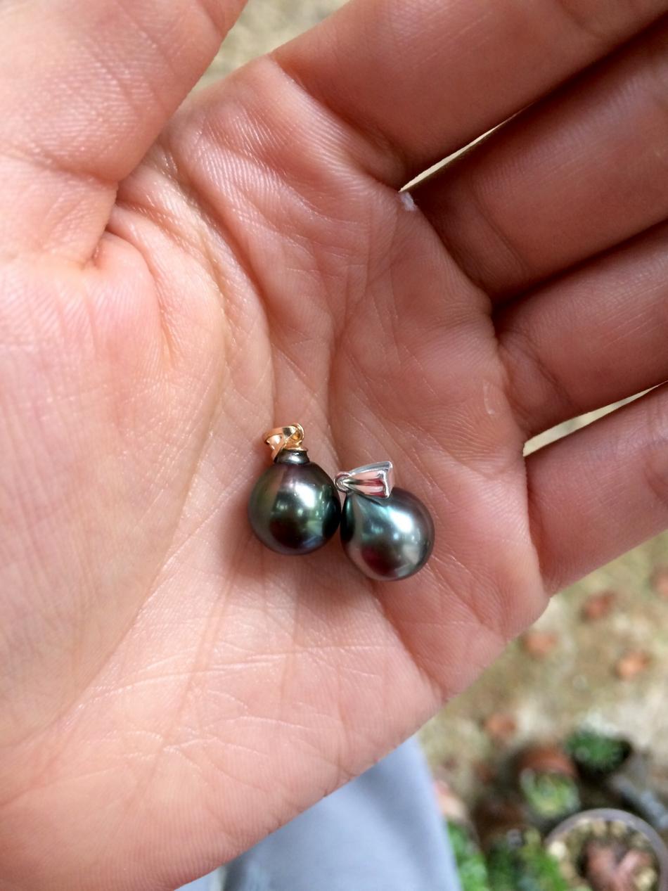Tahitian pearl pendants