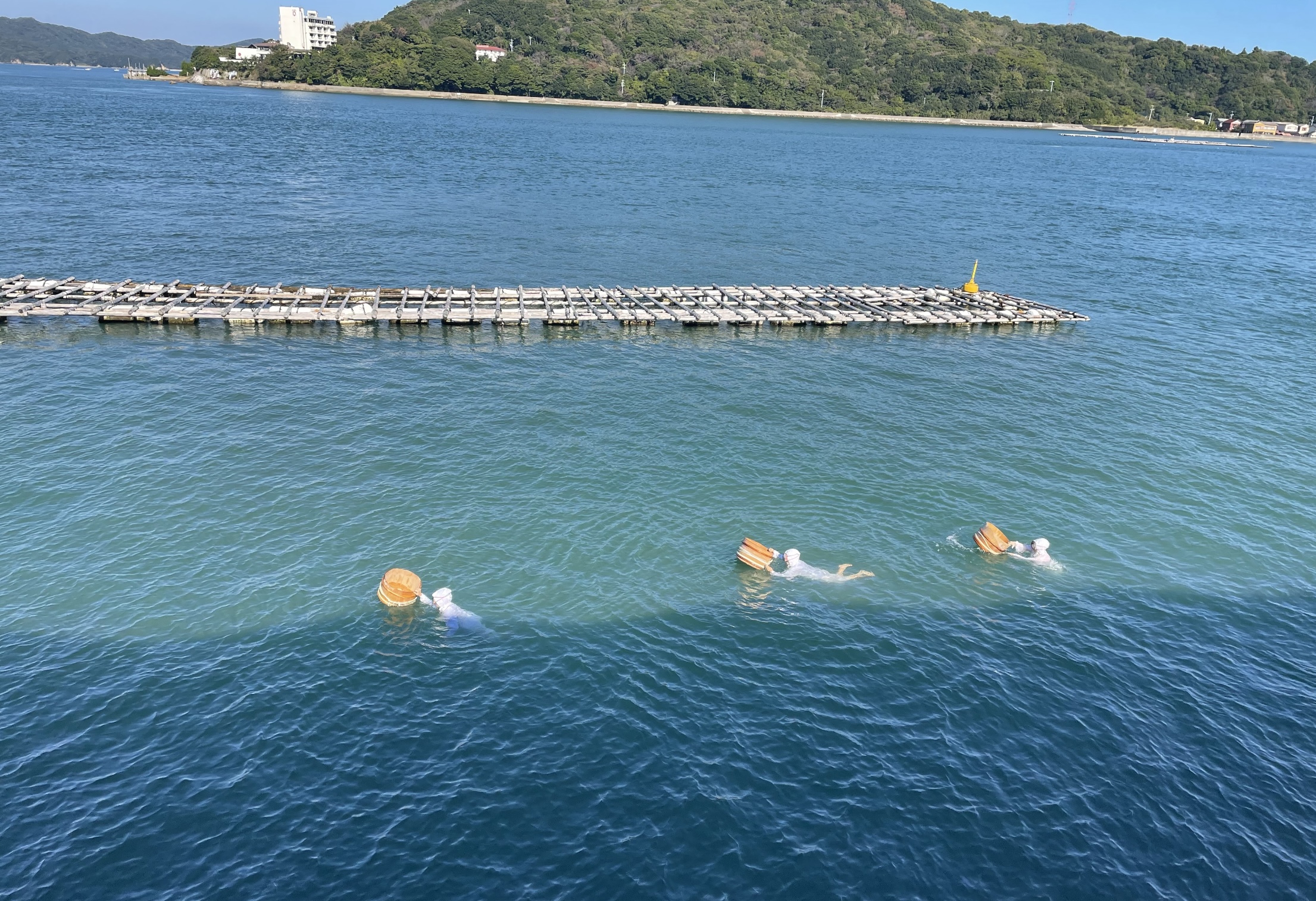 Ama divers Mikimoto Pearl Island