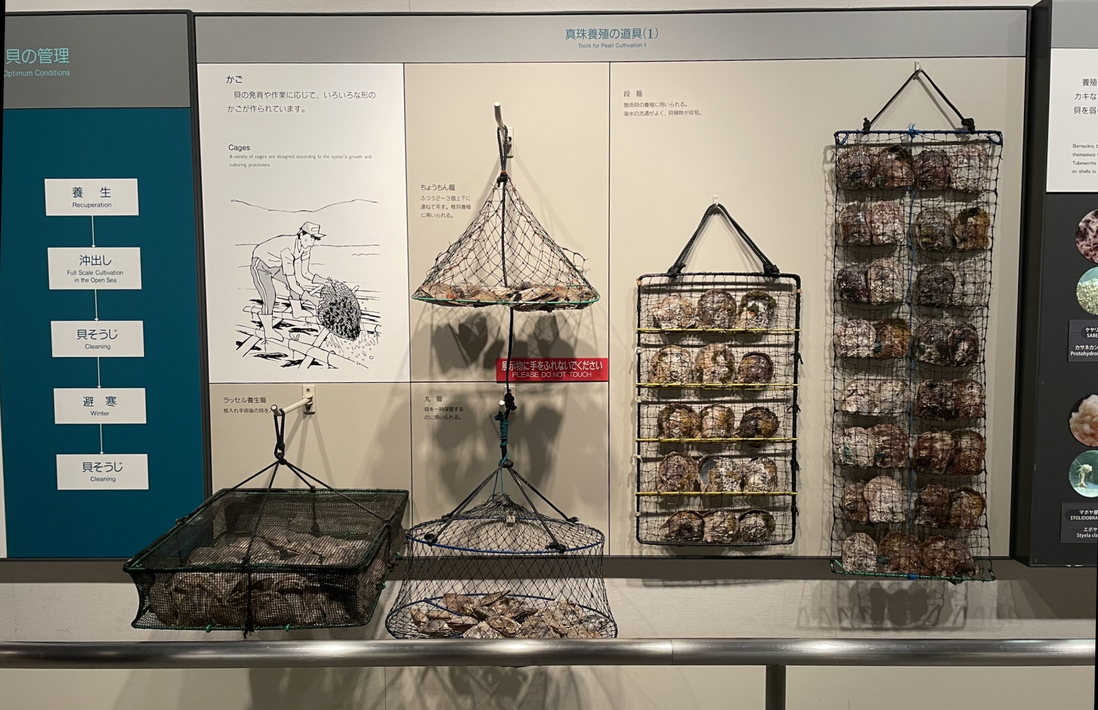 Pearl oyster panel and lantern nets - Mikimoto Pearl Museum