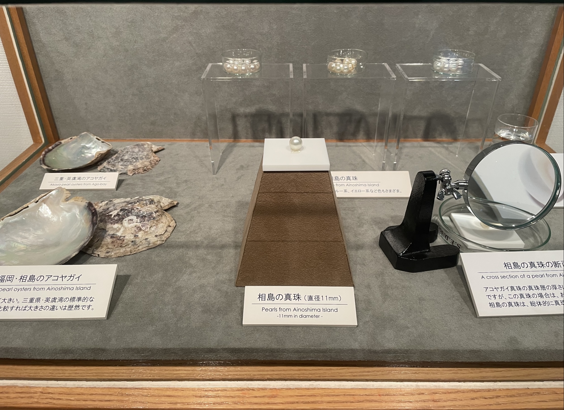 Pearls from Ainoshima Island - Mikimoto Pearl Museum