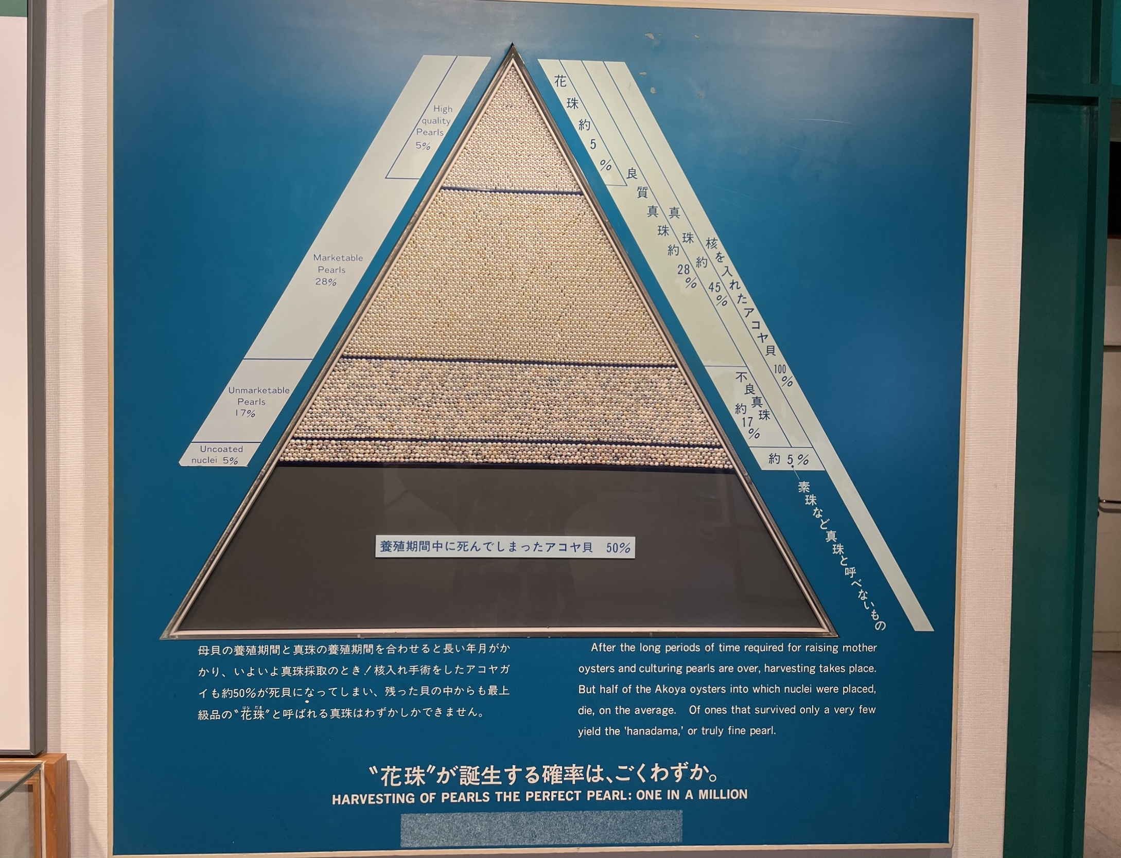 Pearl quality scale - Mikimoto Pearl Museum