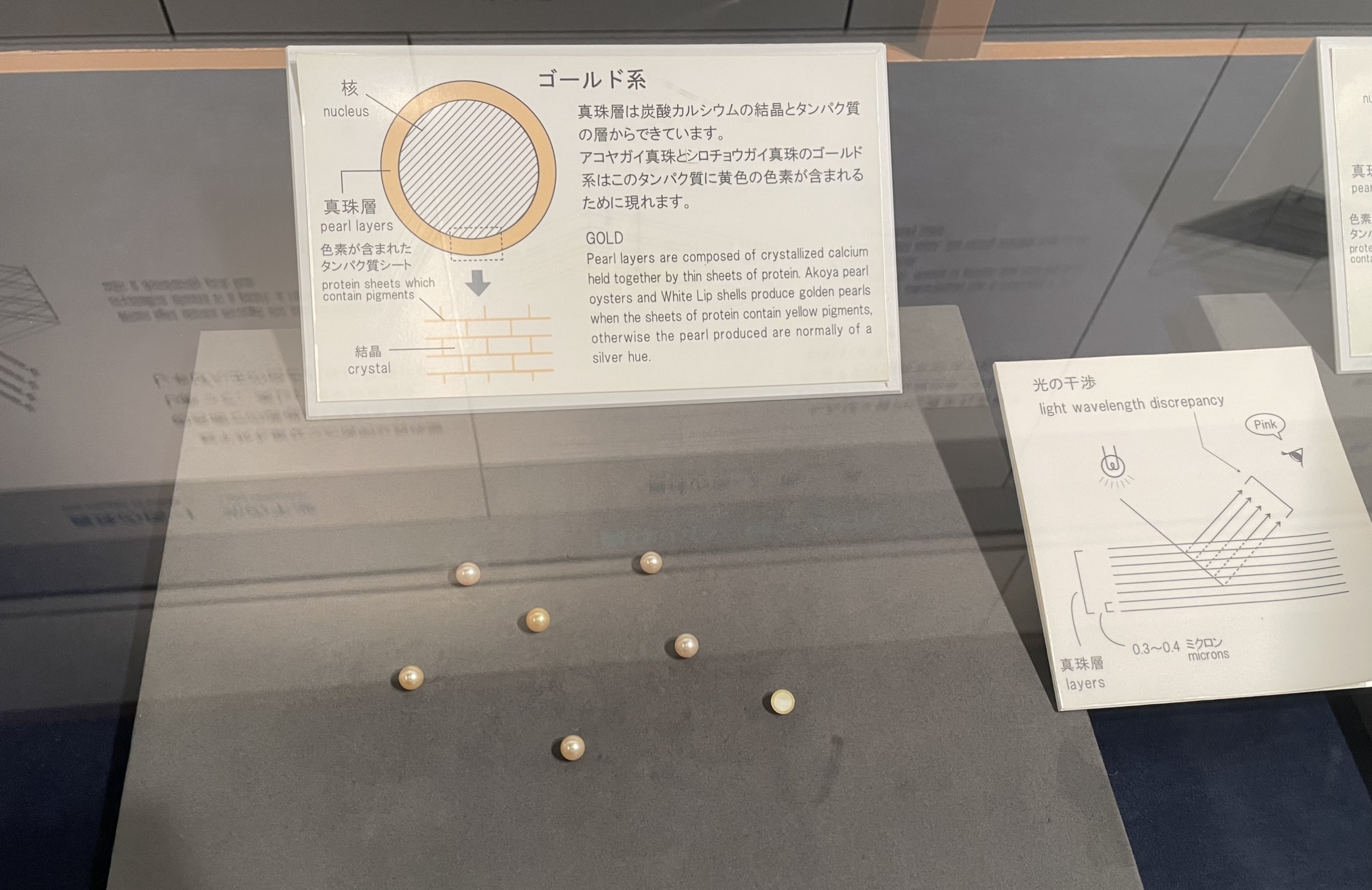 Akoya pearls with gold hue - Mikimoto Pearl Museum