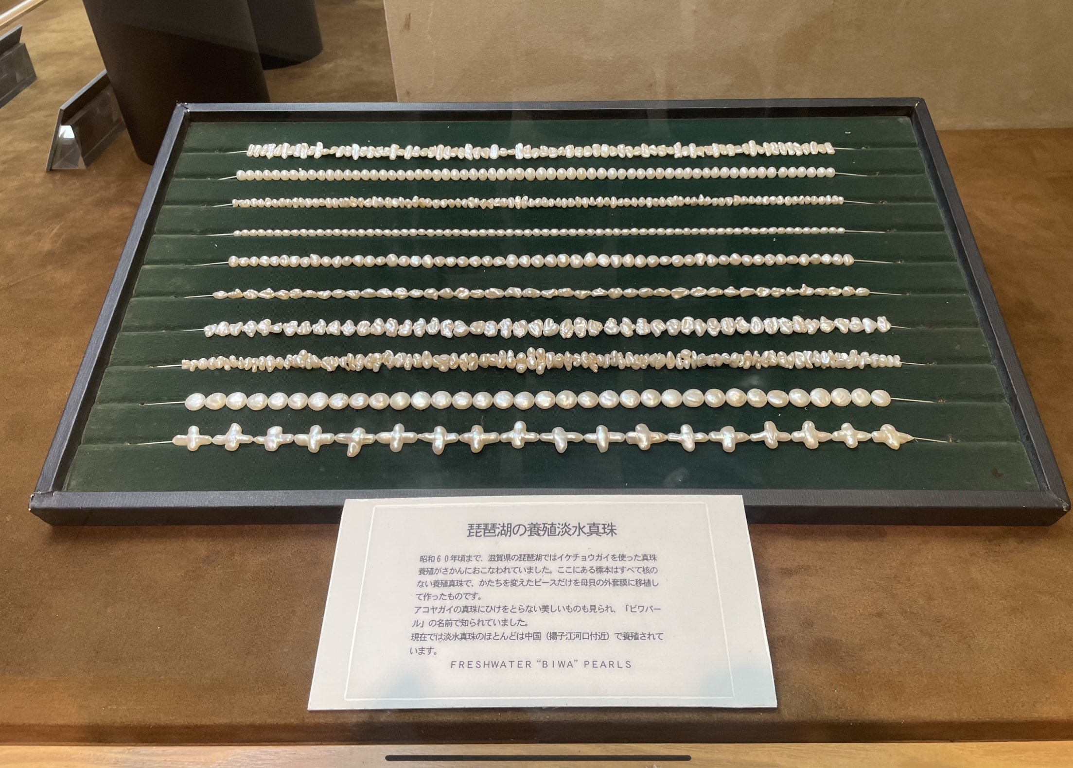 Freshwater Biwa pearls - Mikimoto Pearl Museum
