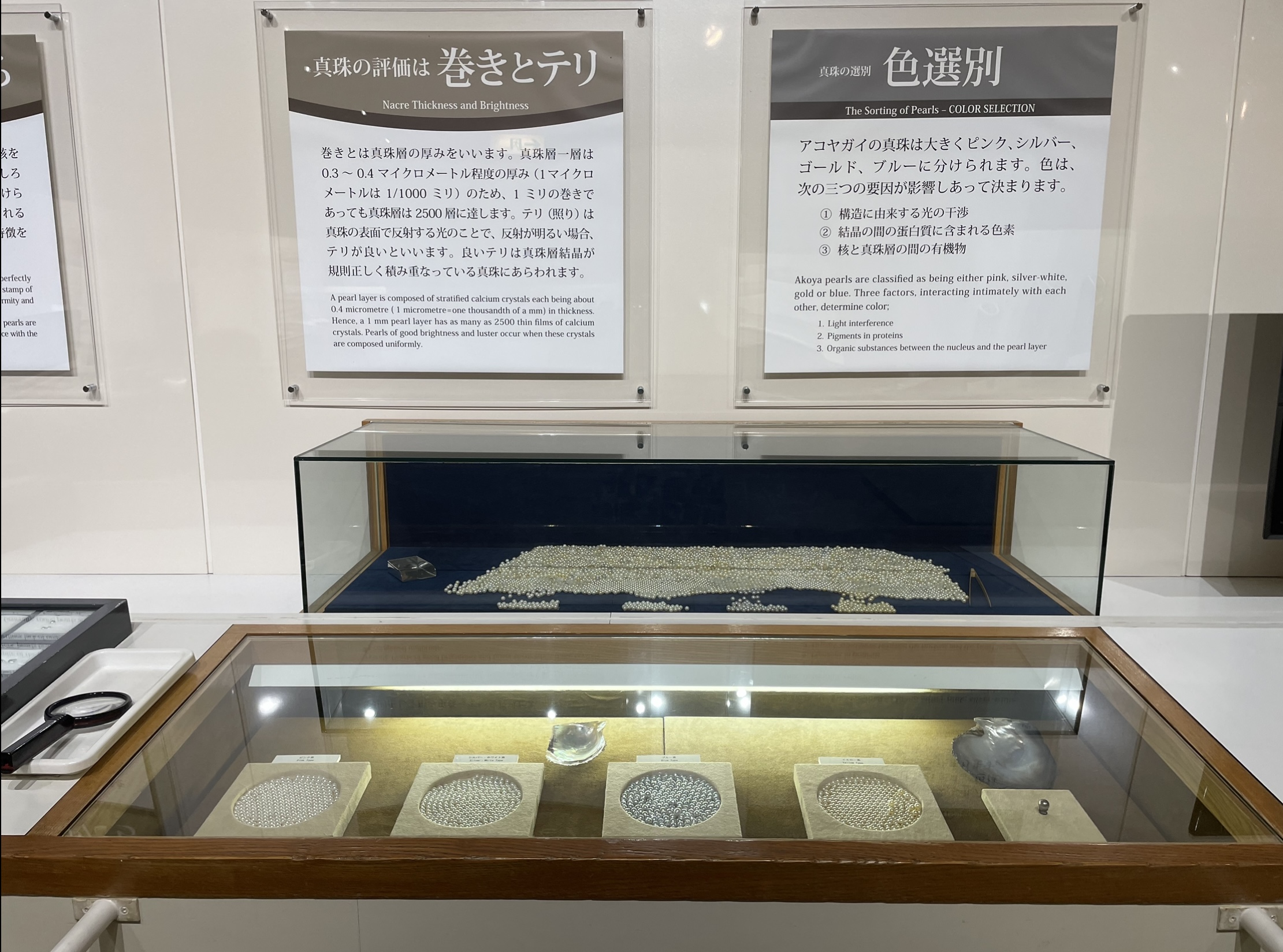 Nacre thickness and color sorting - Mikimoto Pearl Museum