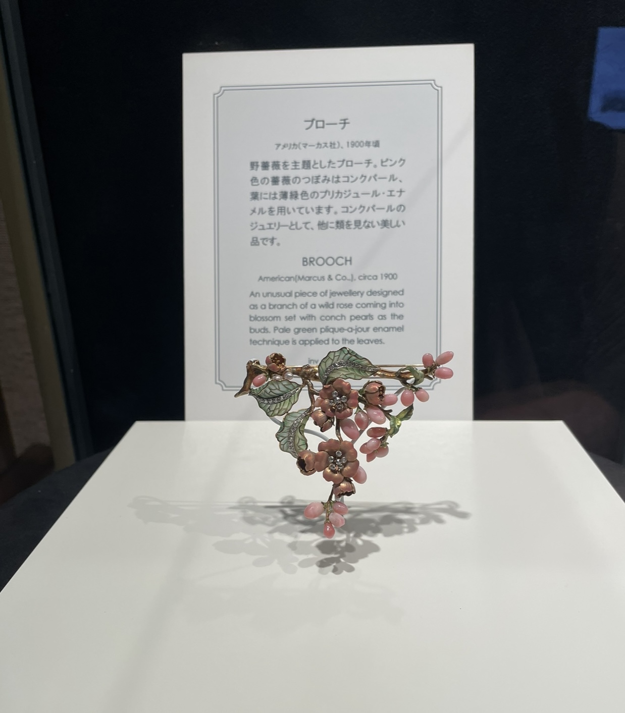 Conch Pearl Brooch - Mikimoto Pearl Museum