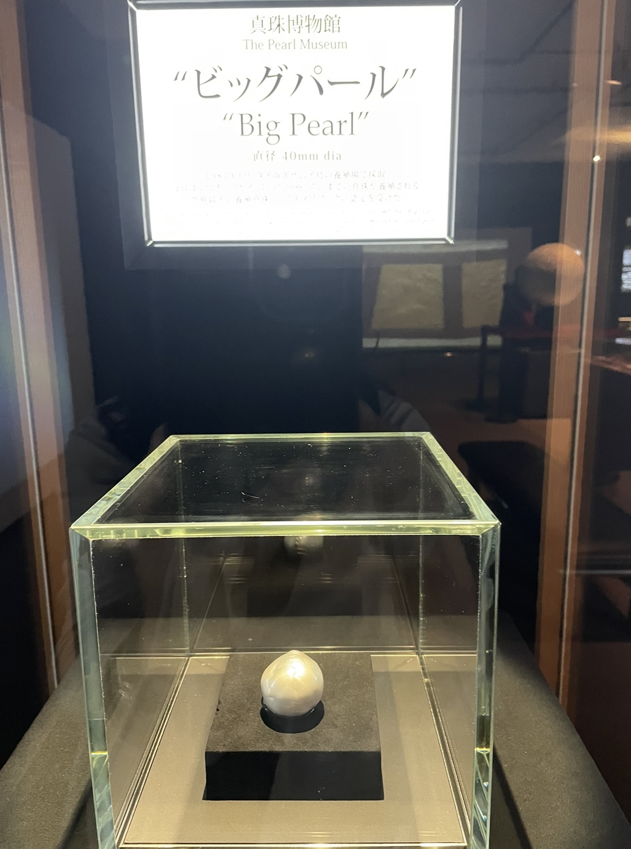 40 mm BIG pearl - Mikimoto Pearl Museum