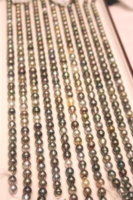 Multicolor Tahitian strands Pearl Paradise