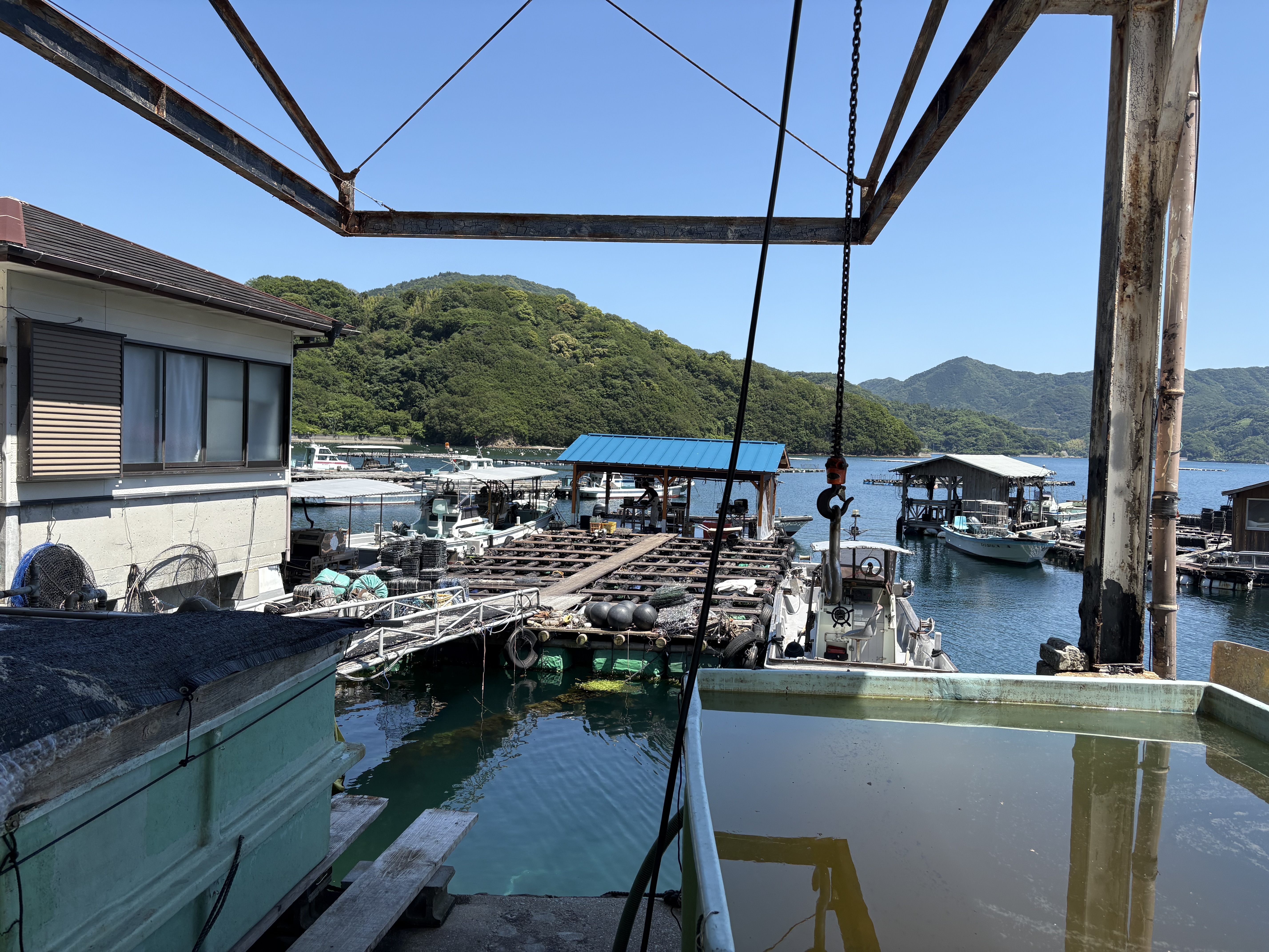 IMG_4683.jpeg