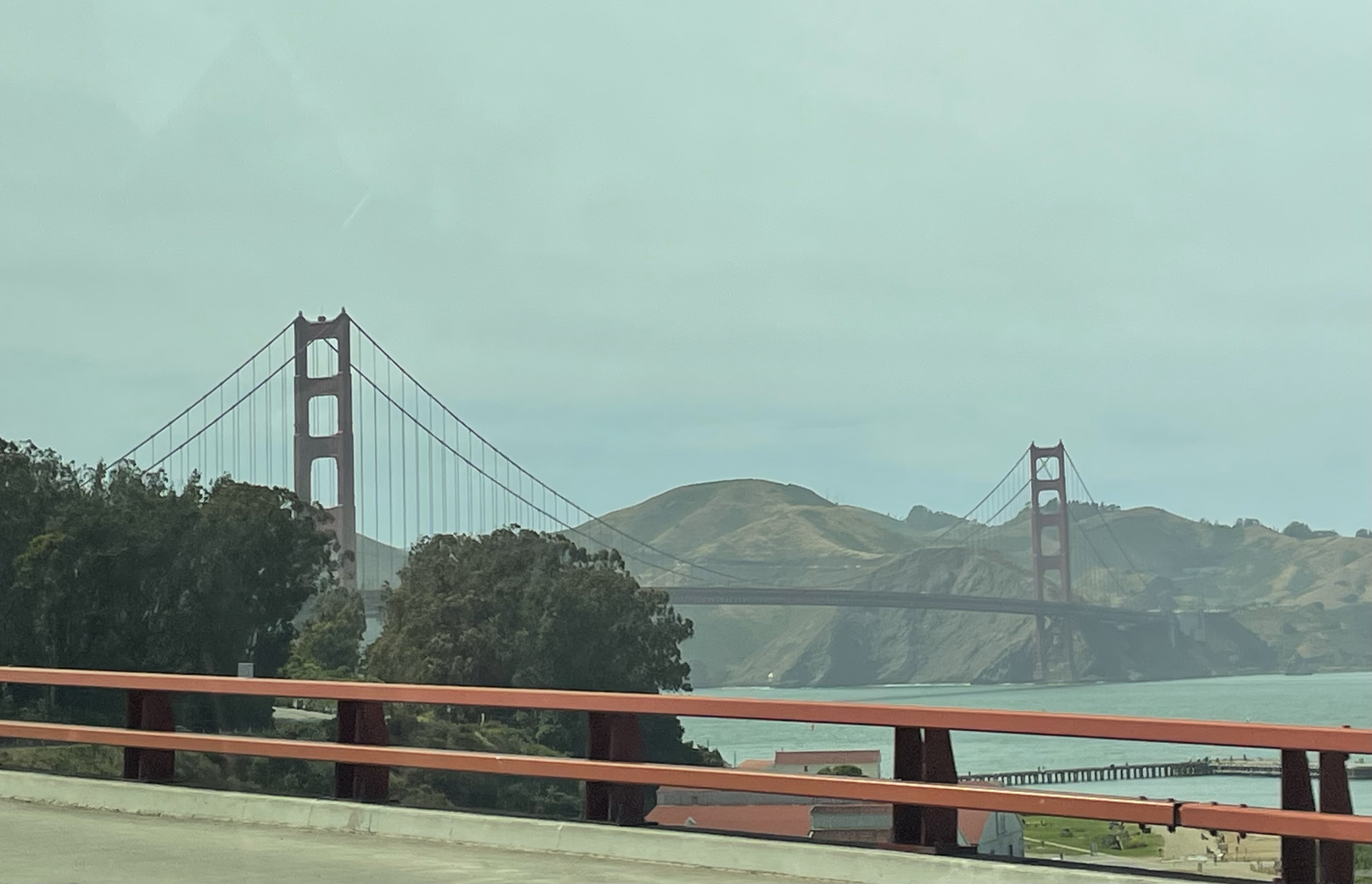 IMG_4735.jpeg