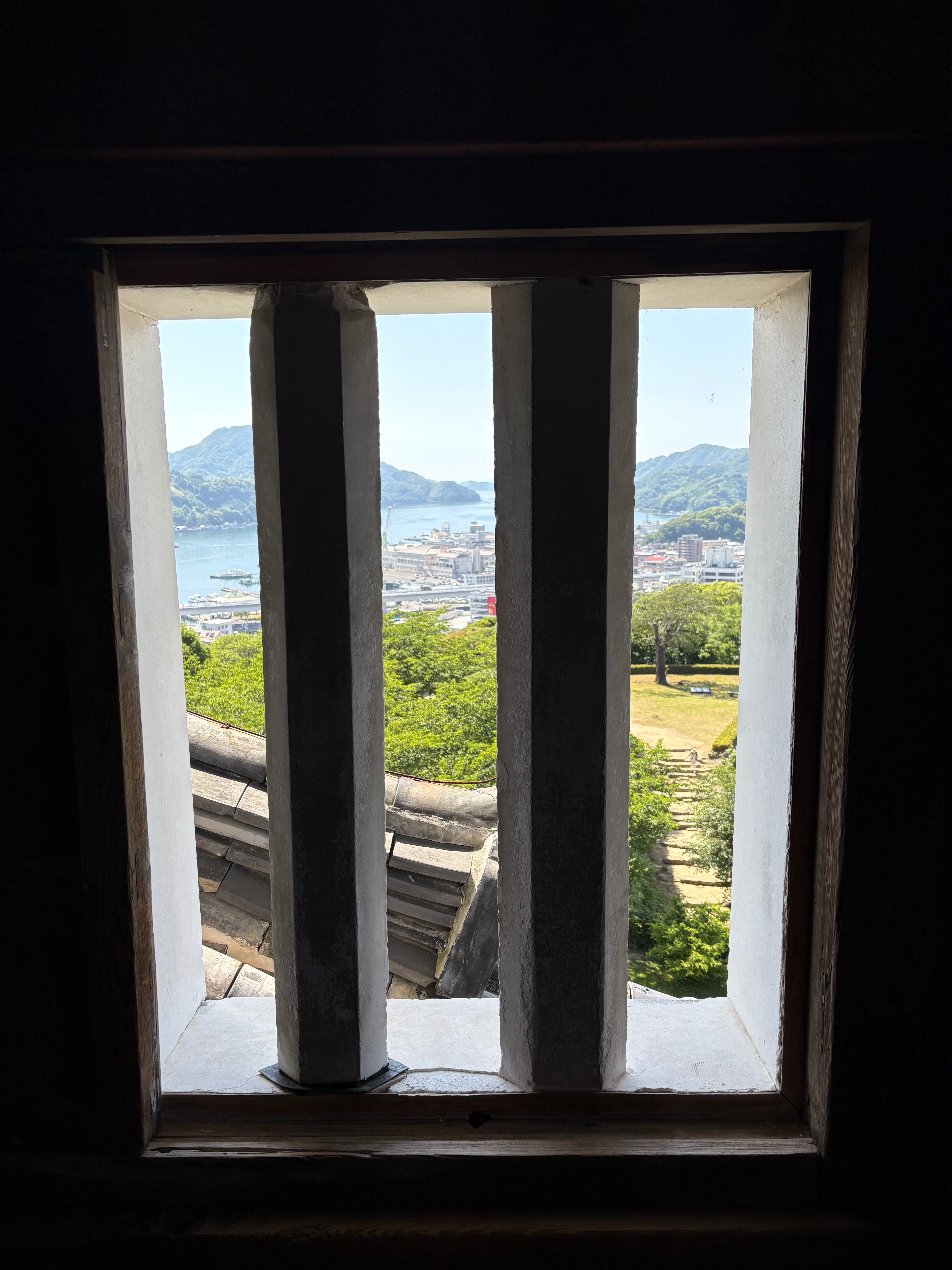 IMG_4791.jpeg