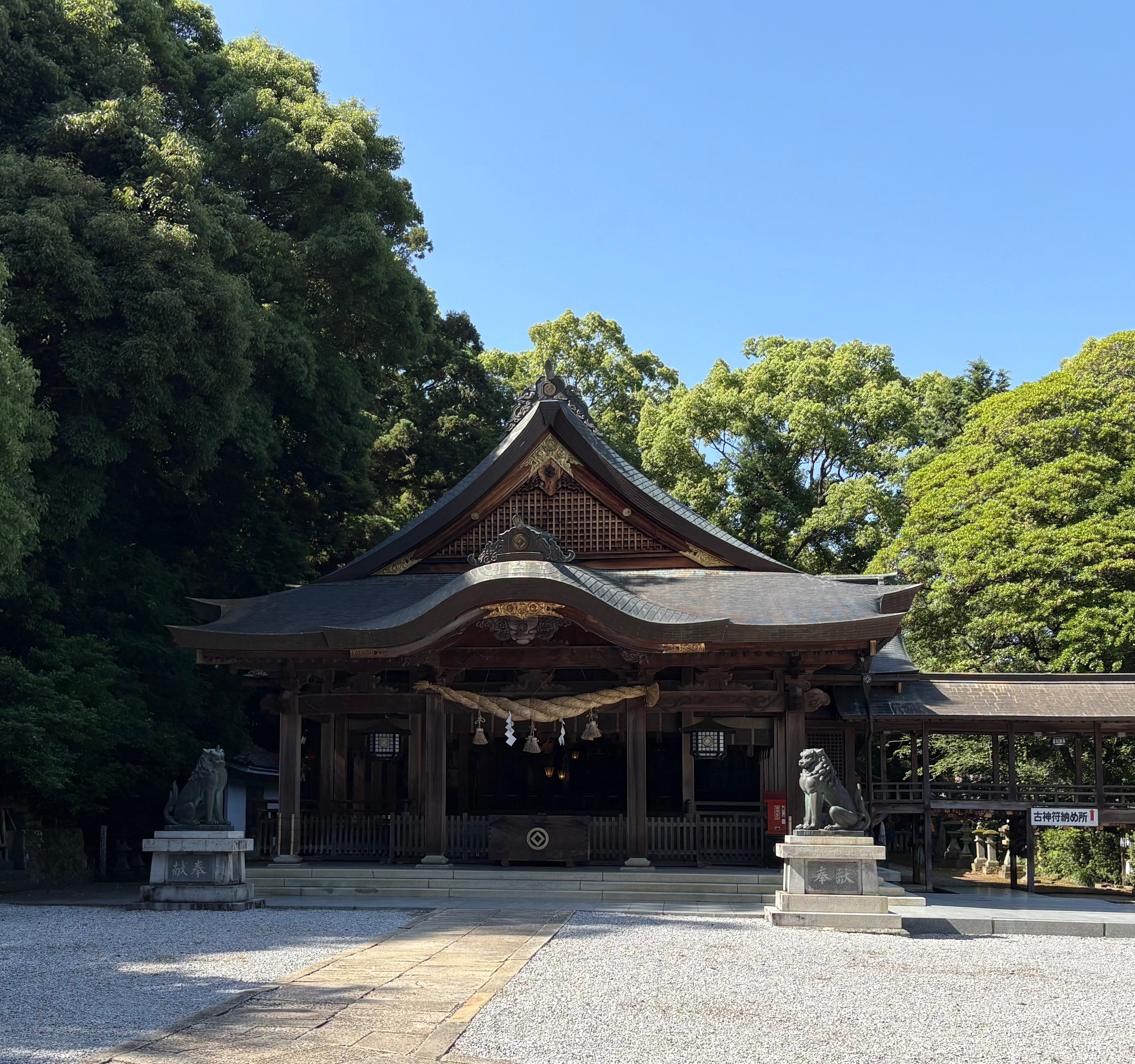 IMG_4799.jpeg