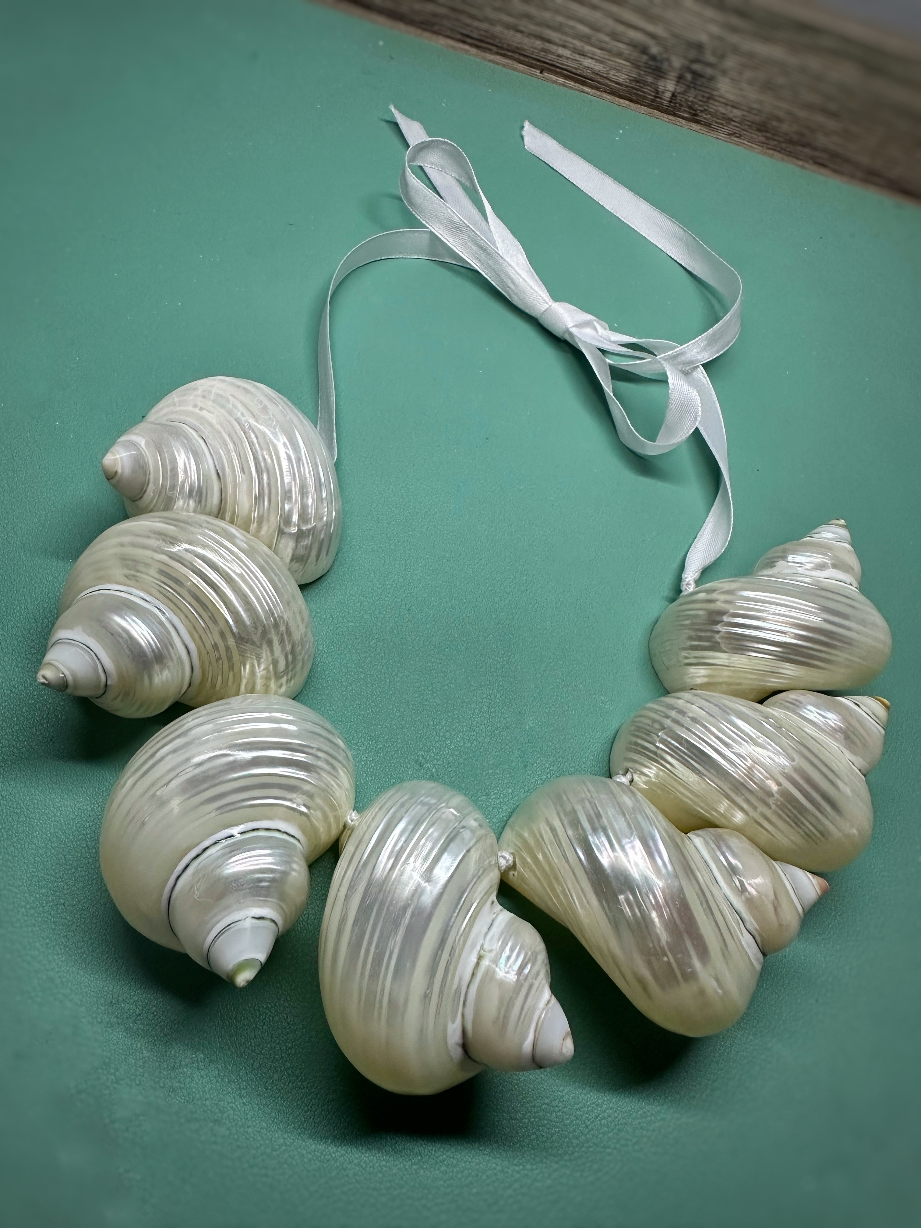 Pearlized Turbo Shell necklace
