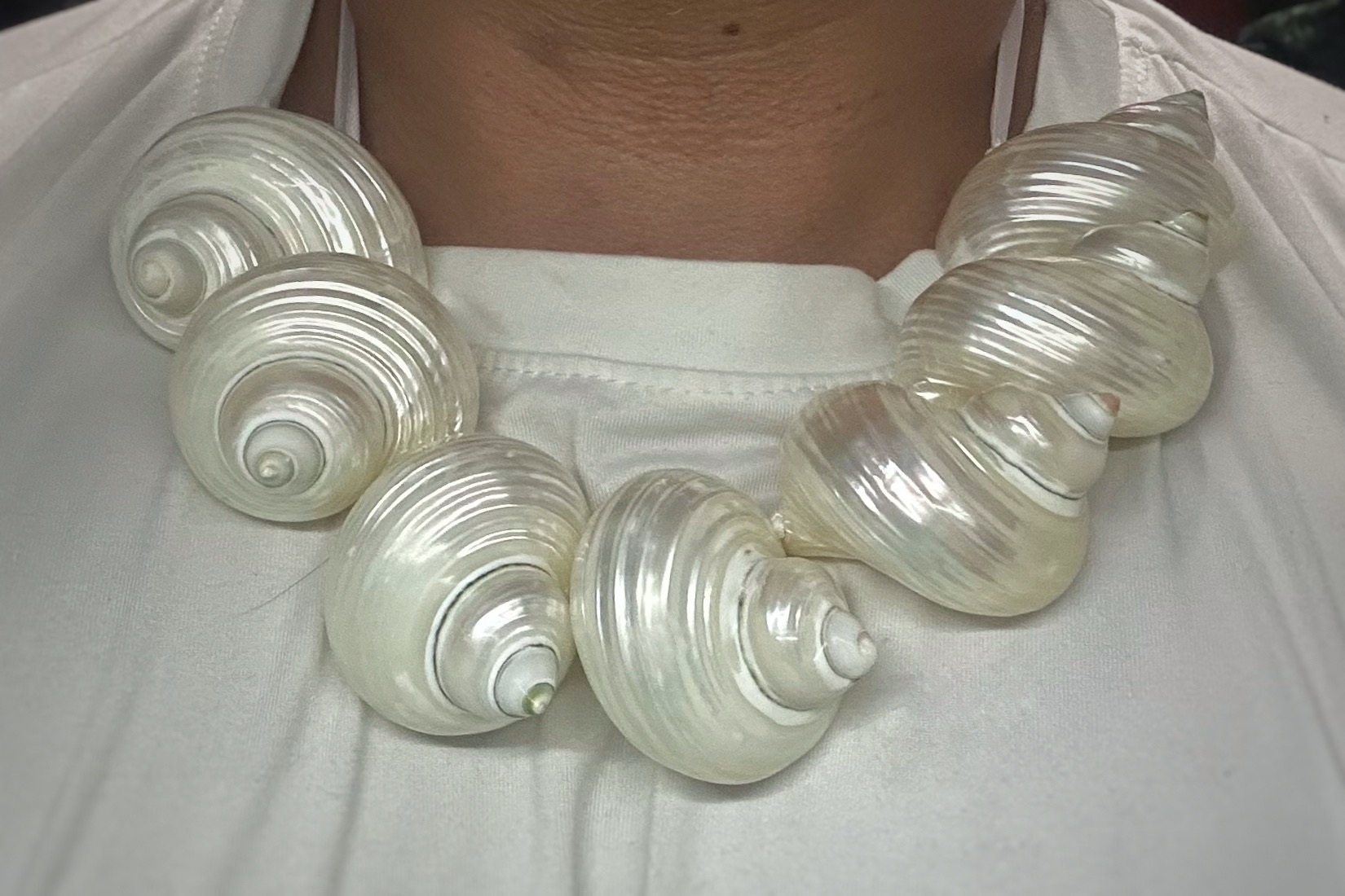 Pearlized Turbo Shell necklace
