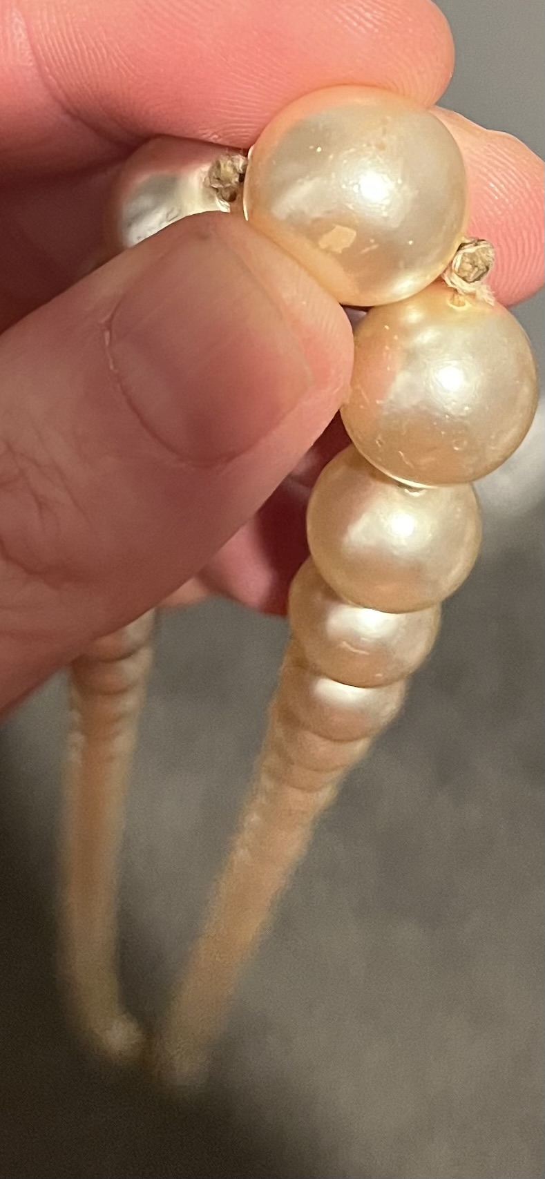 img_9785-jpeg.477703