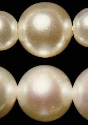 Imitation (top) and cultured (bottom) pearls shown under 10x magnification.jpg