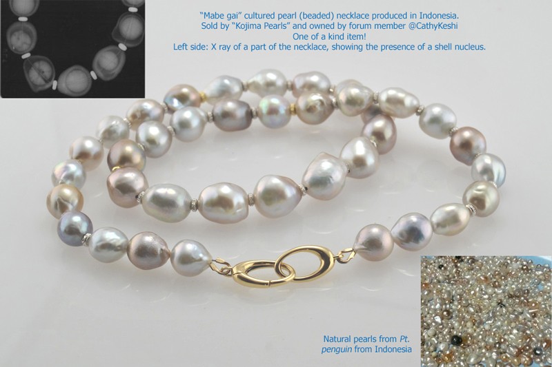 Mabe-gai-Cultured-Pearls.jpg - Pteria penguin cultured pearl necklace and Xrays