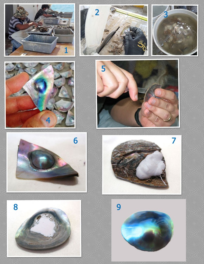 Step by step, turning a blister pearl into a mabe pearl