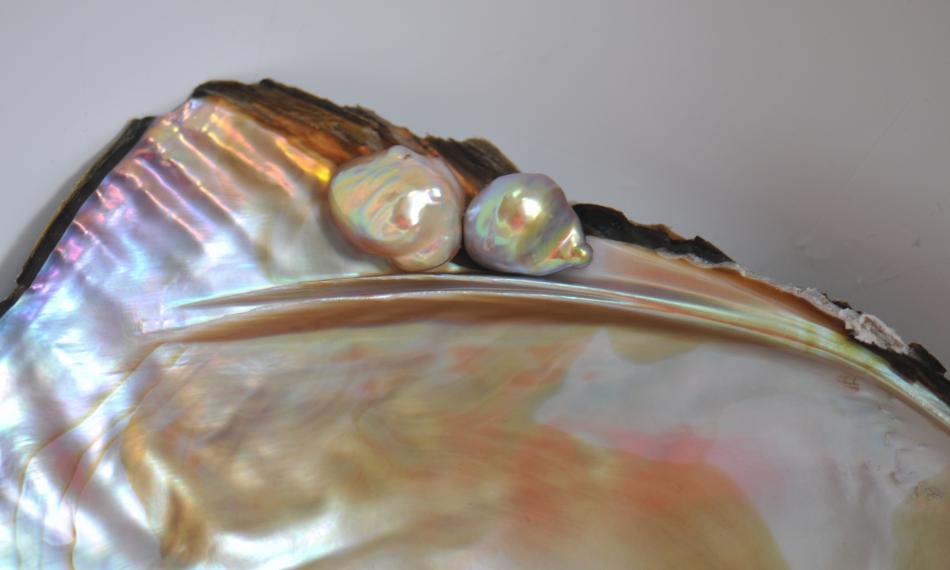 Loose souffle metallic pearls on shell