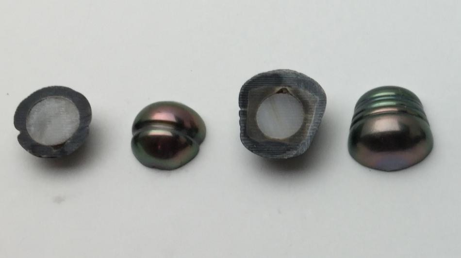 Sliced Tahitian pearls showing nacre depth