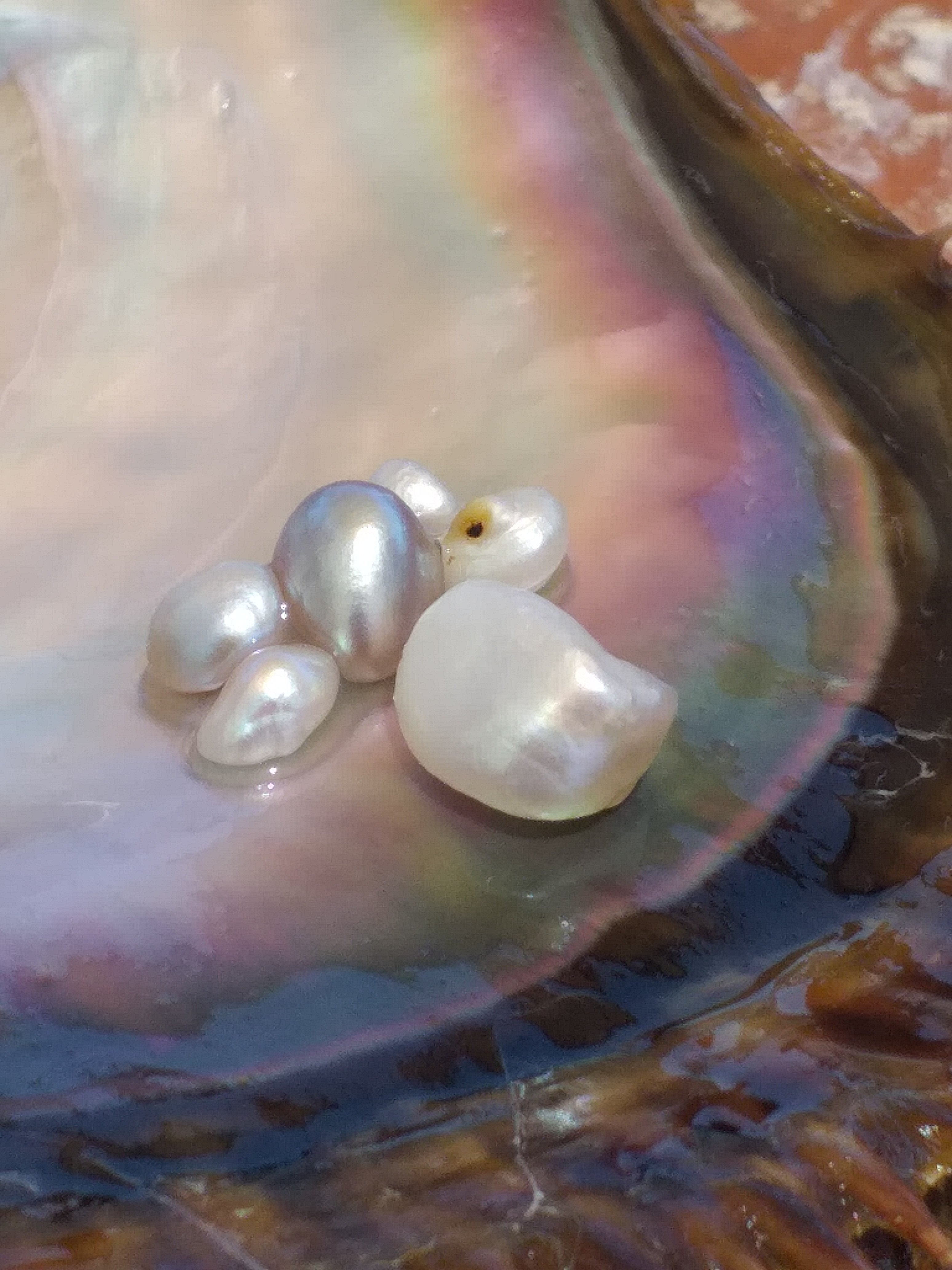 Natural Hinge Pearls (2).jpg