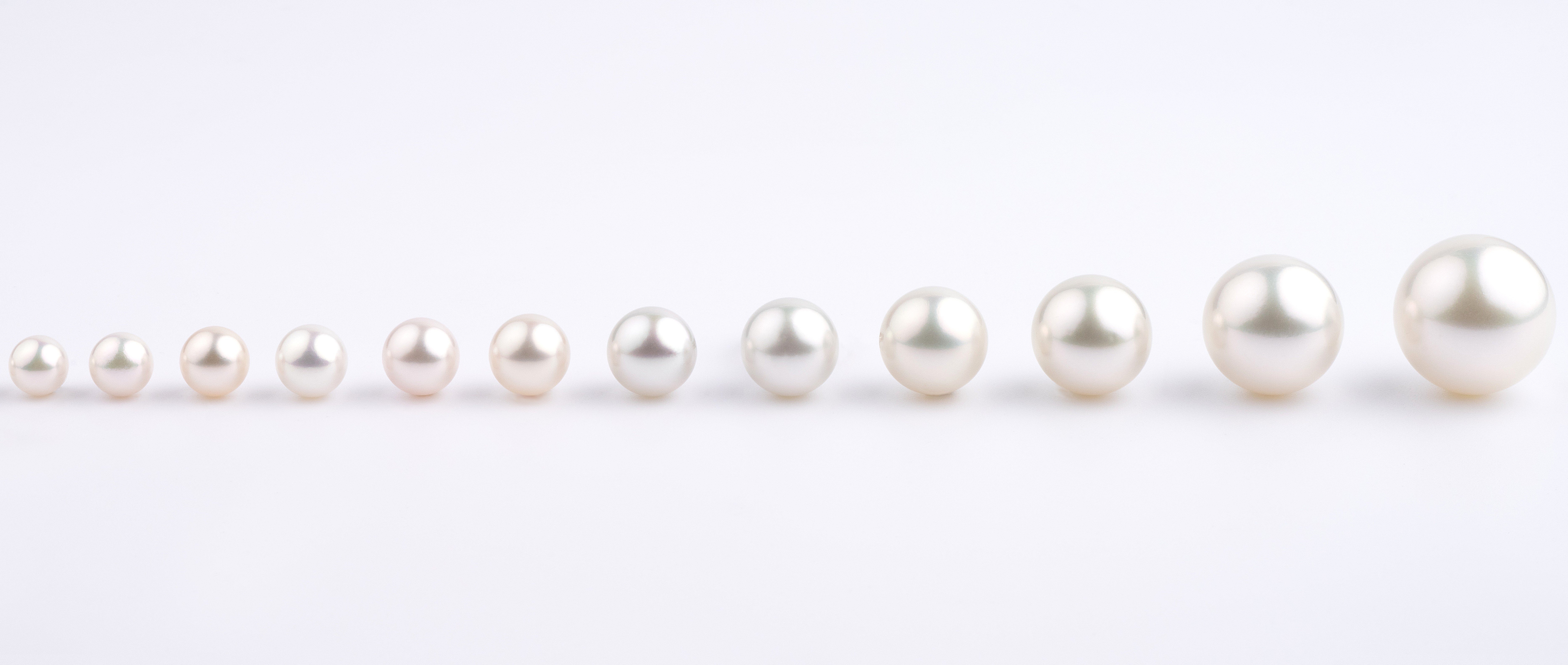 Pearl Addition 12 step program.jpg