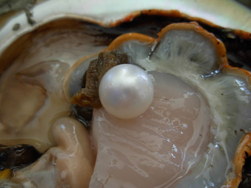 pearl birth.JPG