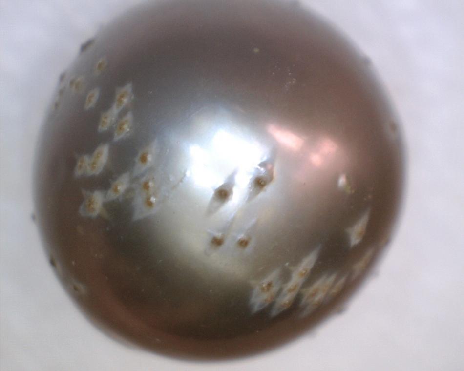 Pearl with Many Surface Defects - A pearl with a large quantity of surface imperfections such as this one should be avoided.