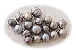 Mexican Pearls from the Perlas del Mar de Cortez
