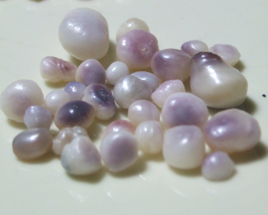 purple_pearls.jpg