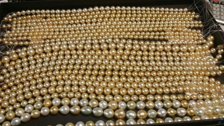 A tray of golden South Sea pearls from the pearl paradise vault