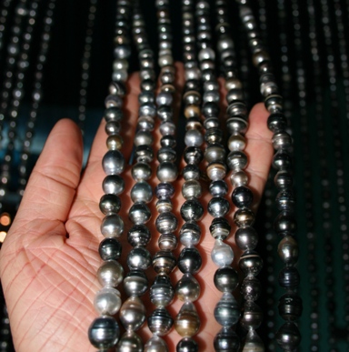 Curtain made of Tahitian pearls